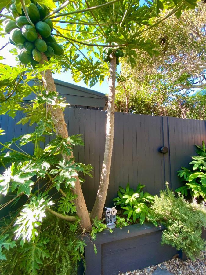 The Mitchell Bondi Garden 4 Apartment ซิดนีย์ ภายนอก รูปภาพ